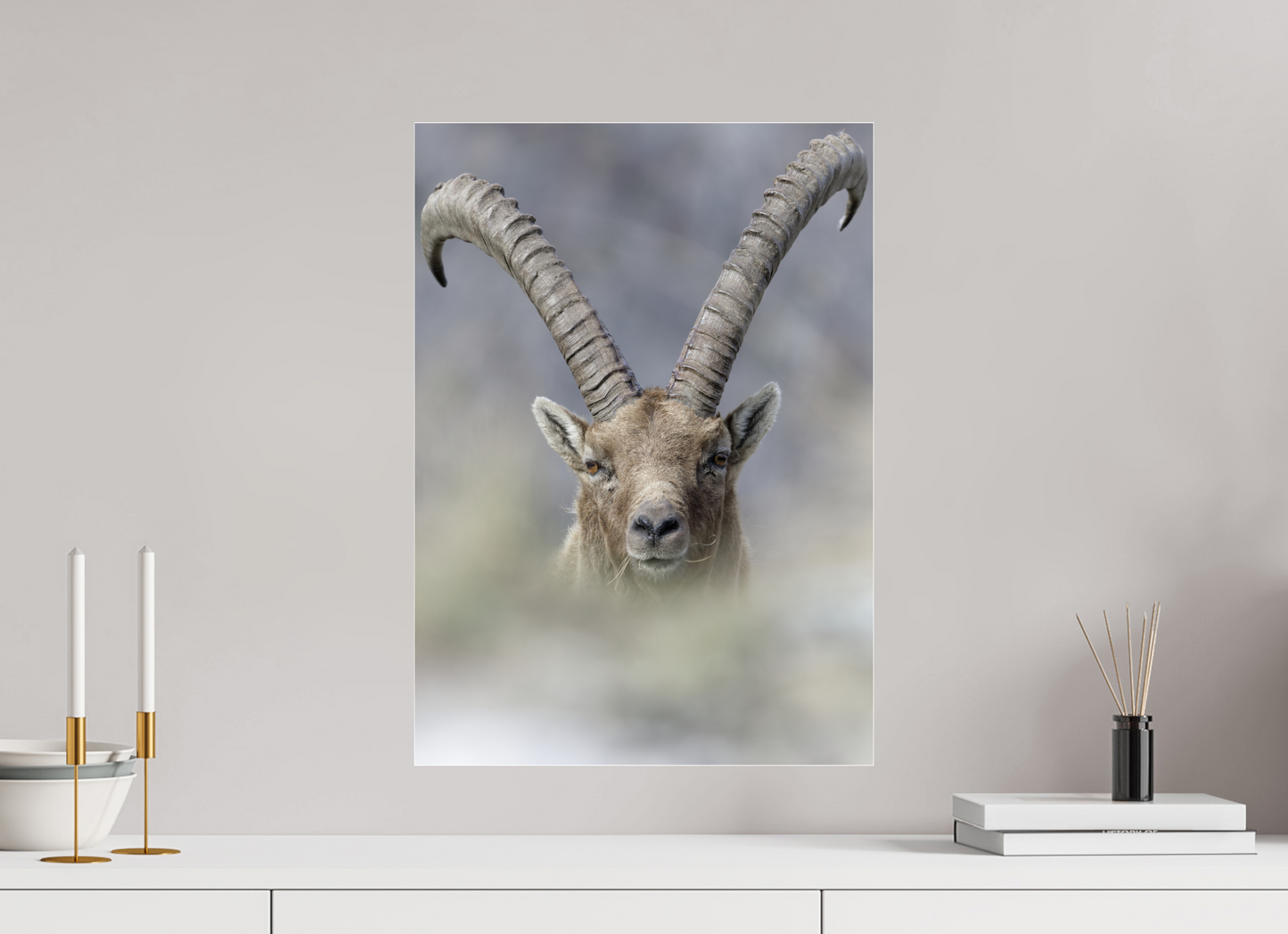 Bouquetin / Ibex
