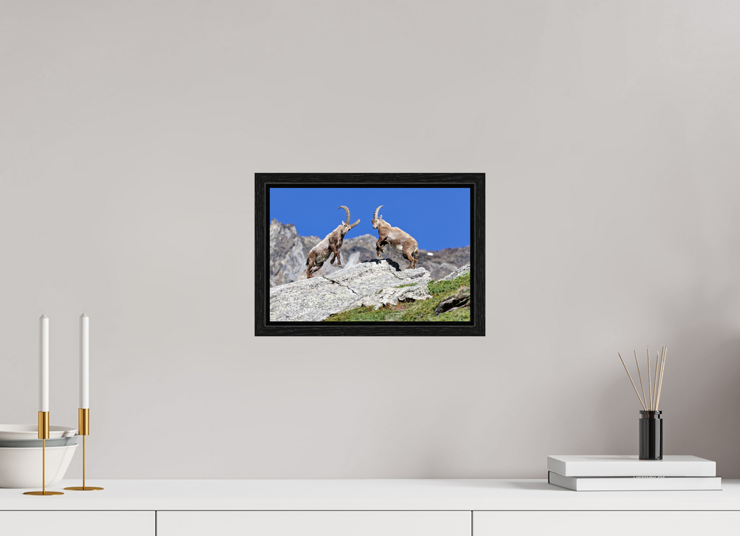 Bouquetin / Ibex