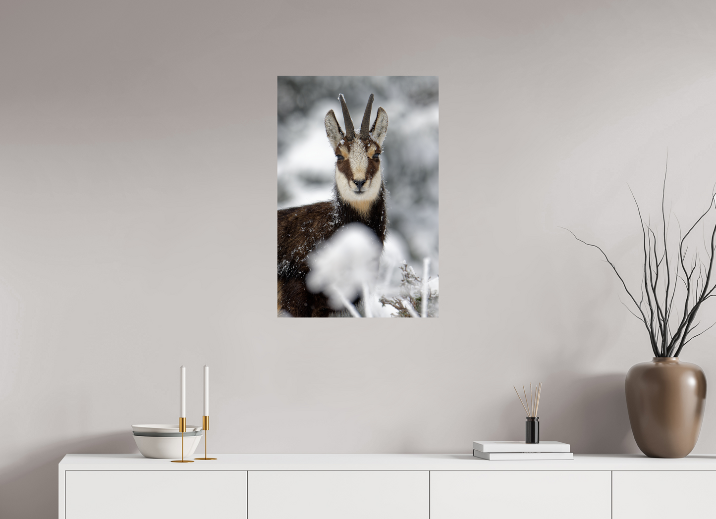 Chamois