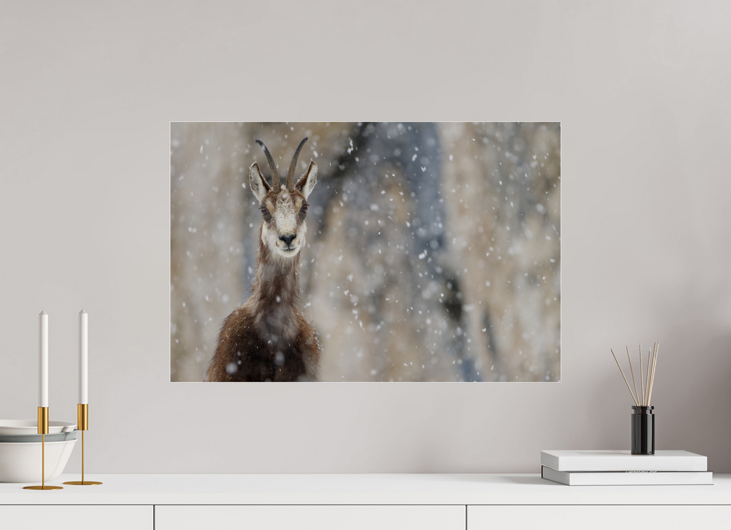 Chamois