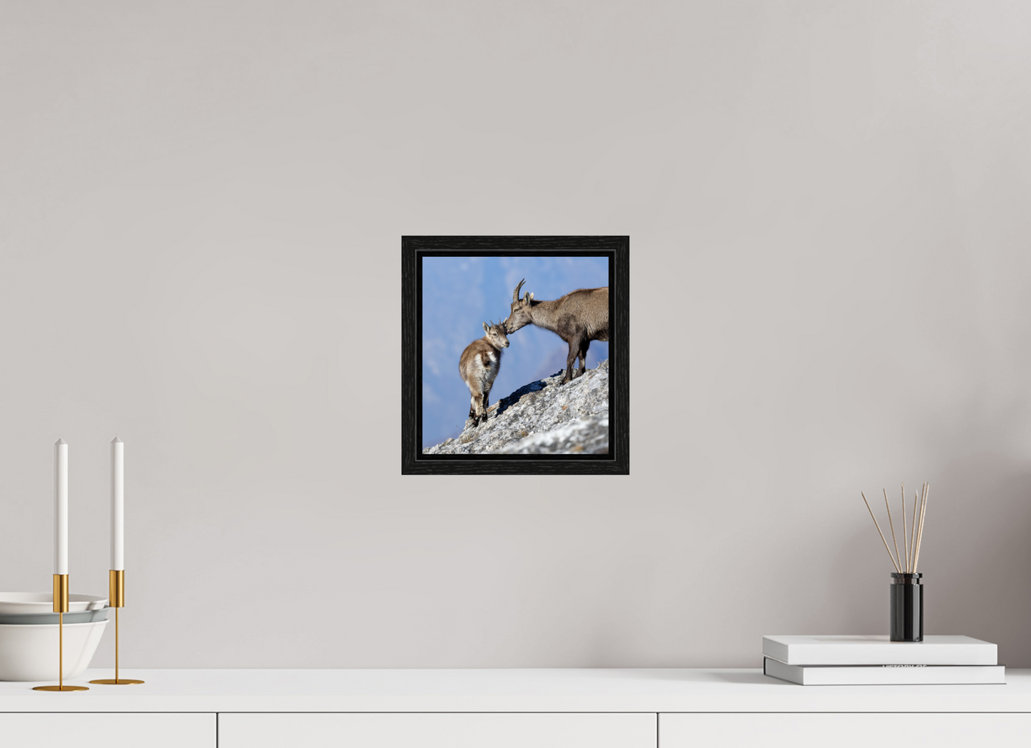 Bouquetin / Ibex