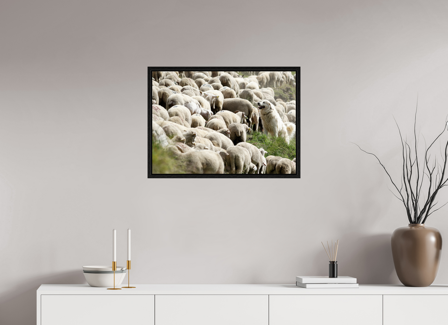 Autres animaux / Other animals