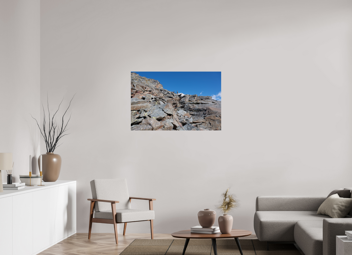 Bouquetin / Ibex
