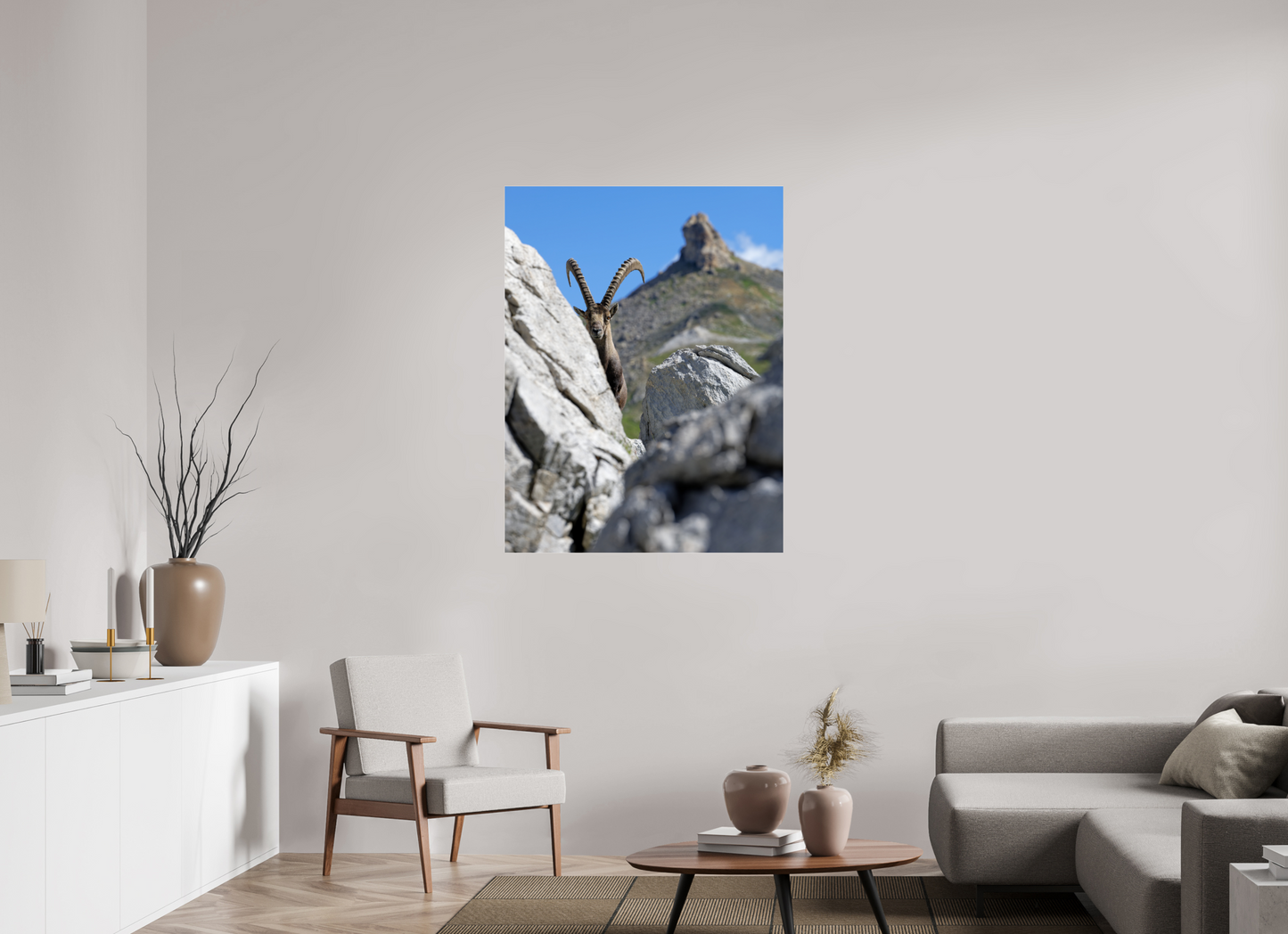 Bouquetin / Ibex