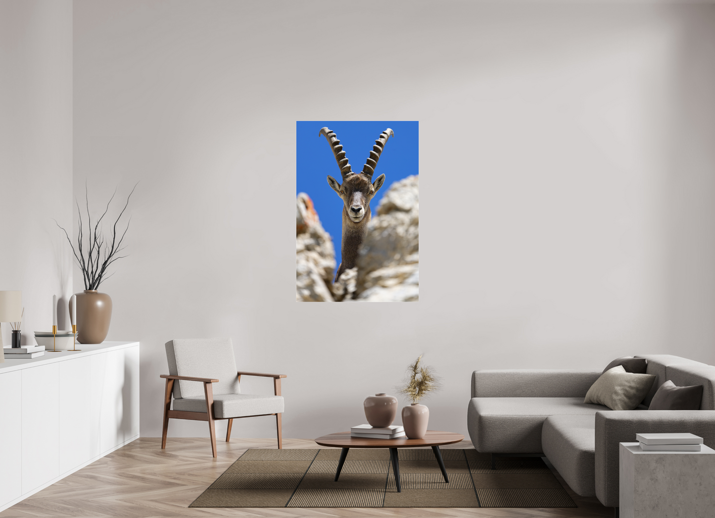 Bouquetin / Ibex