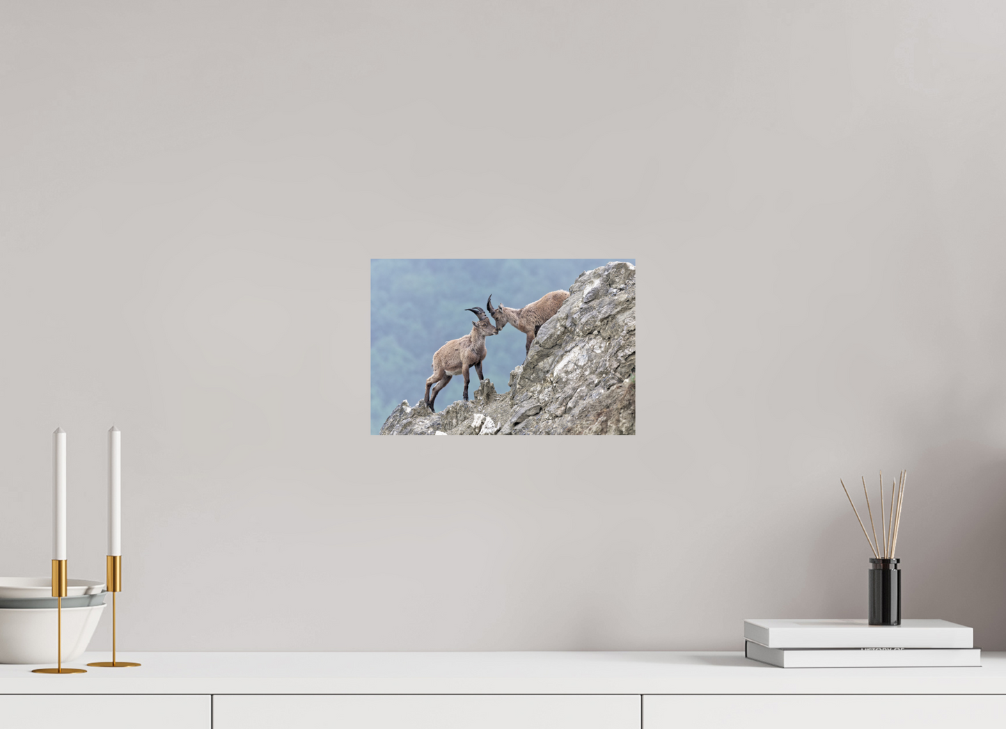 Bouquetin / Ibex