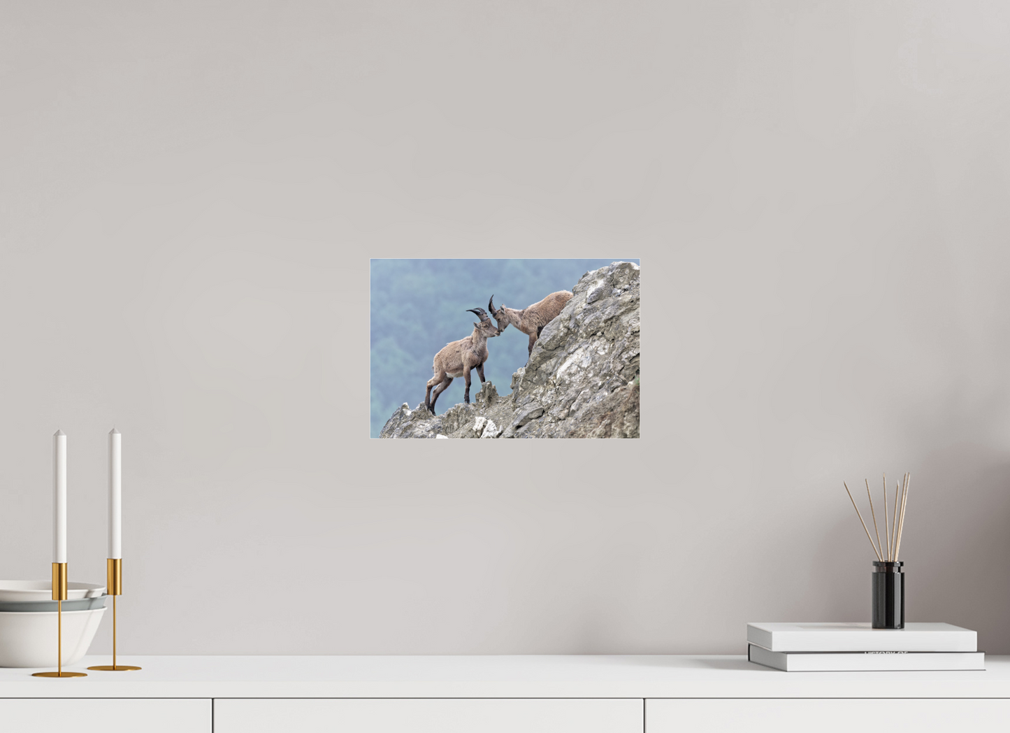 Bouquetin / Ibex