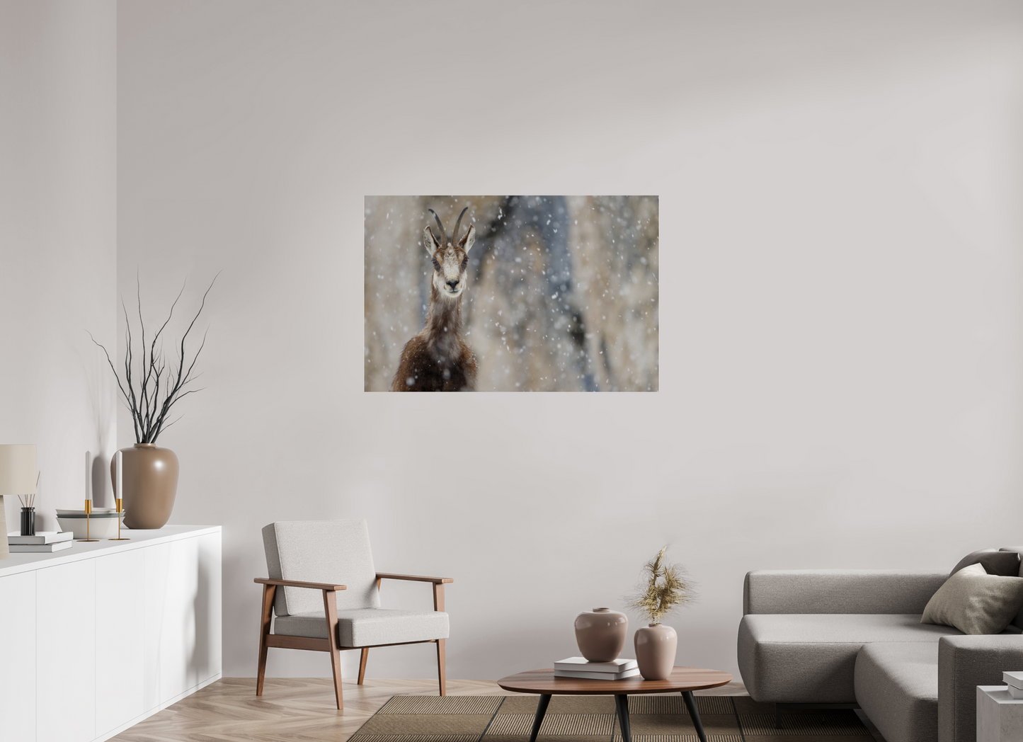 Chamois