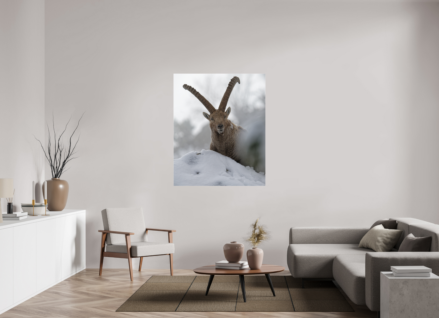 Bouquetin / Ibex