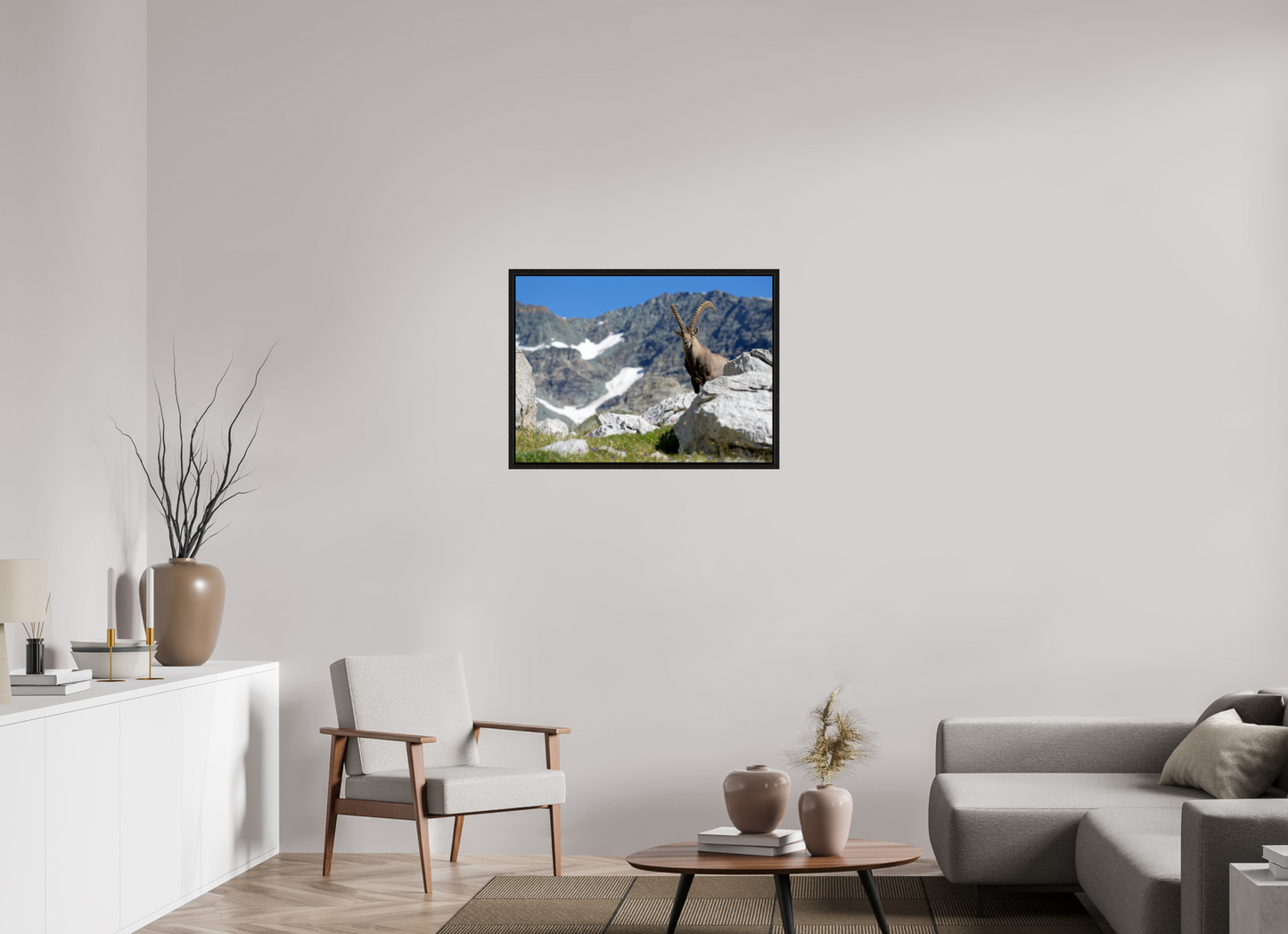 Bouquetin / Ibex