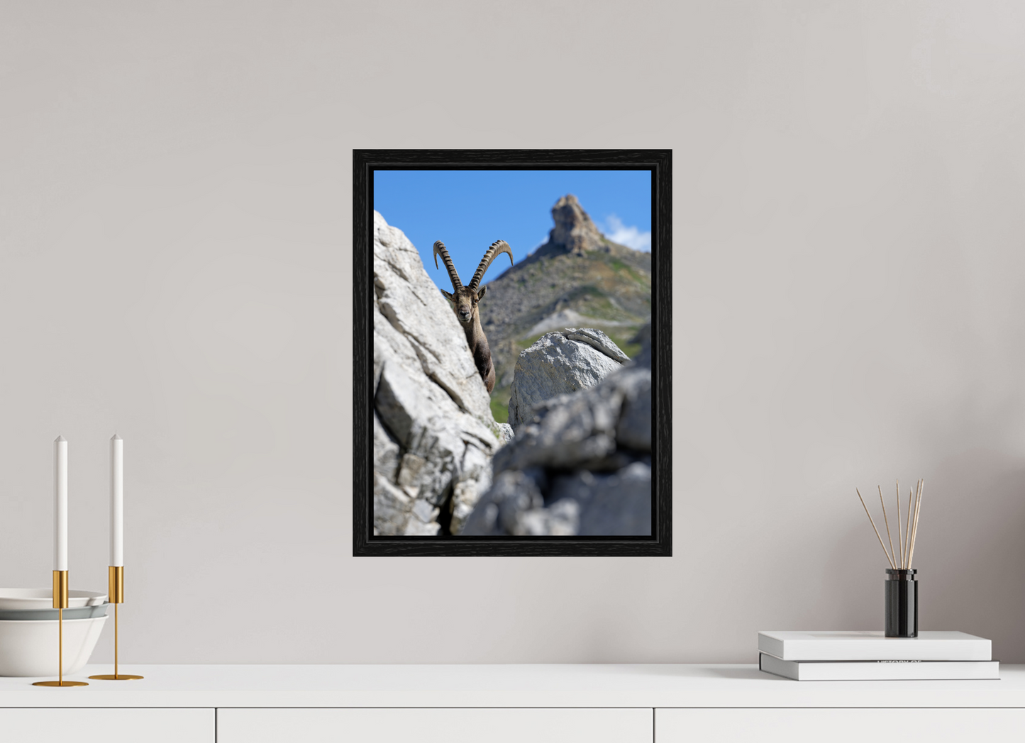 Bouquetin / Ibex