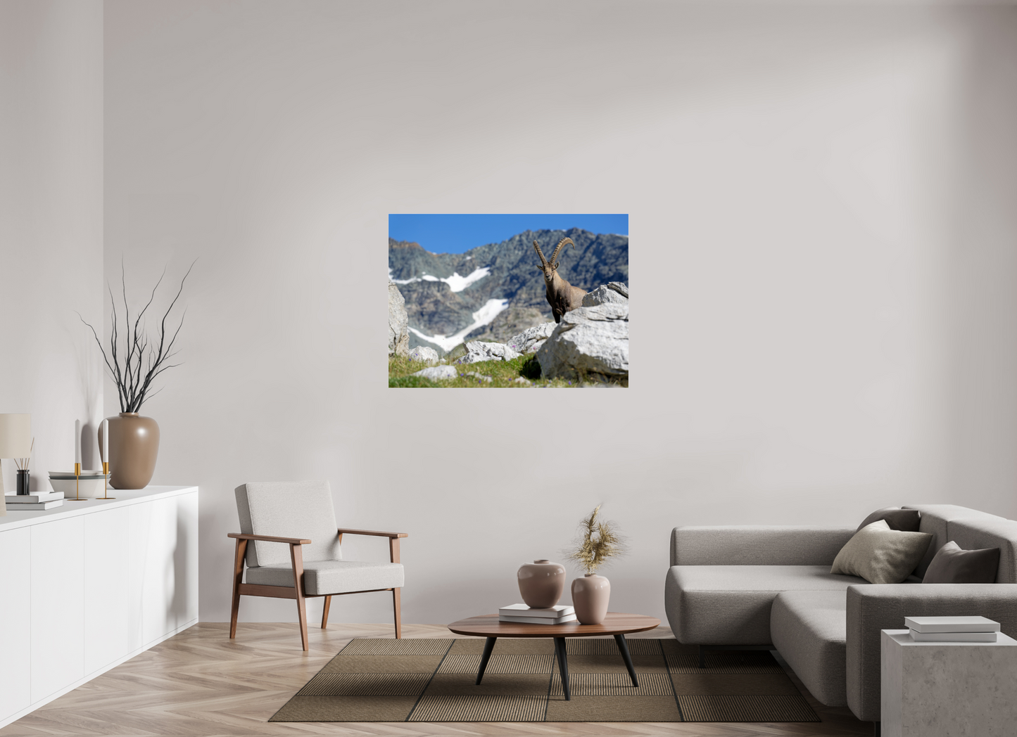 Bouquetin / Ibex