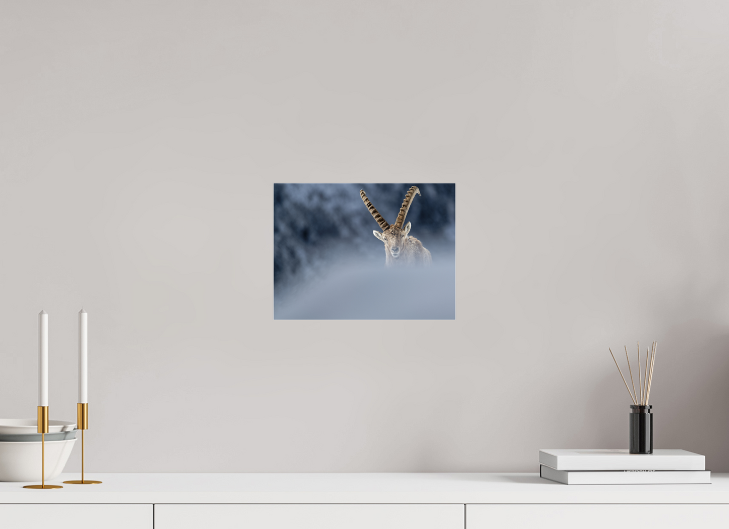 Bouquetin / Ibex