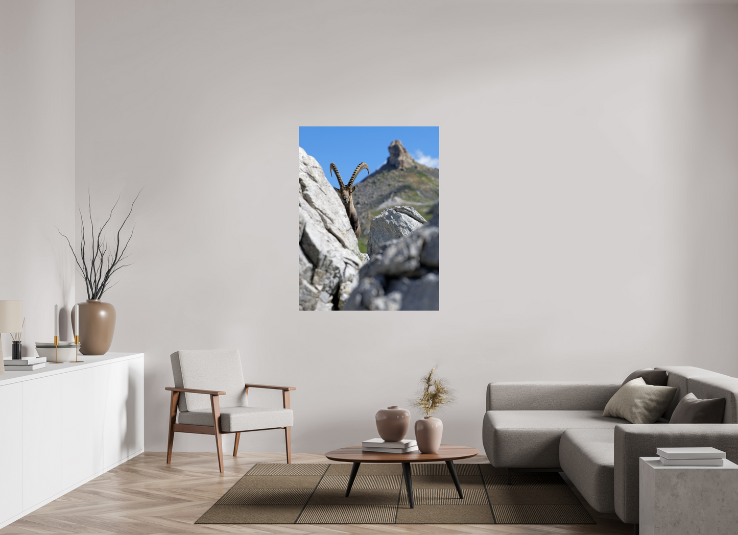 Bouquetin / Ibex