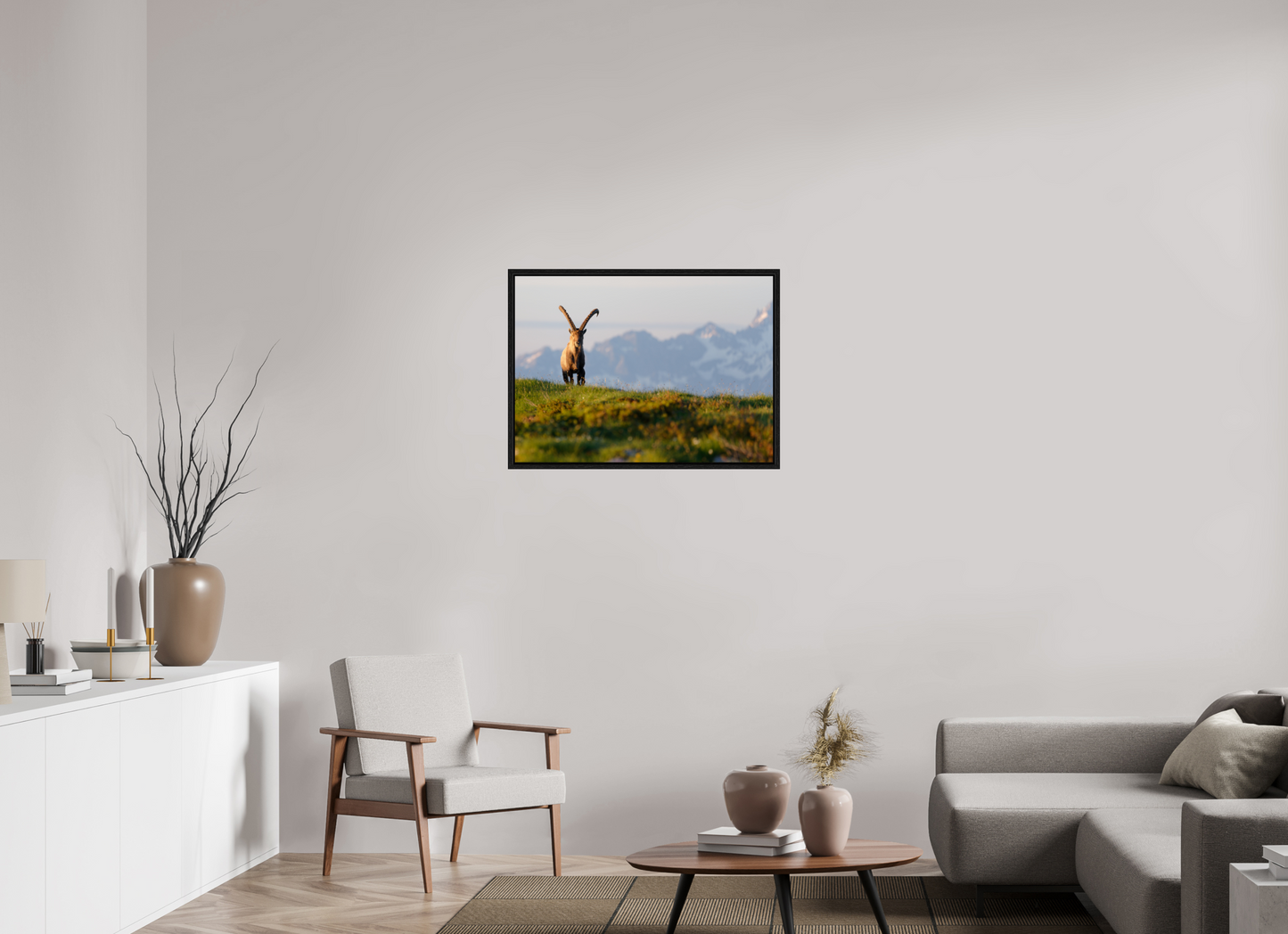 Bouquetin / Ibex