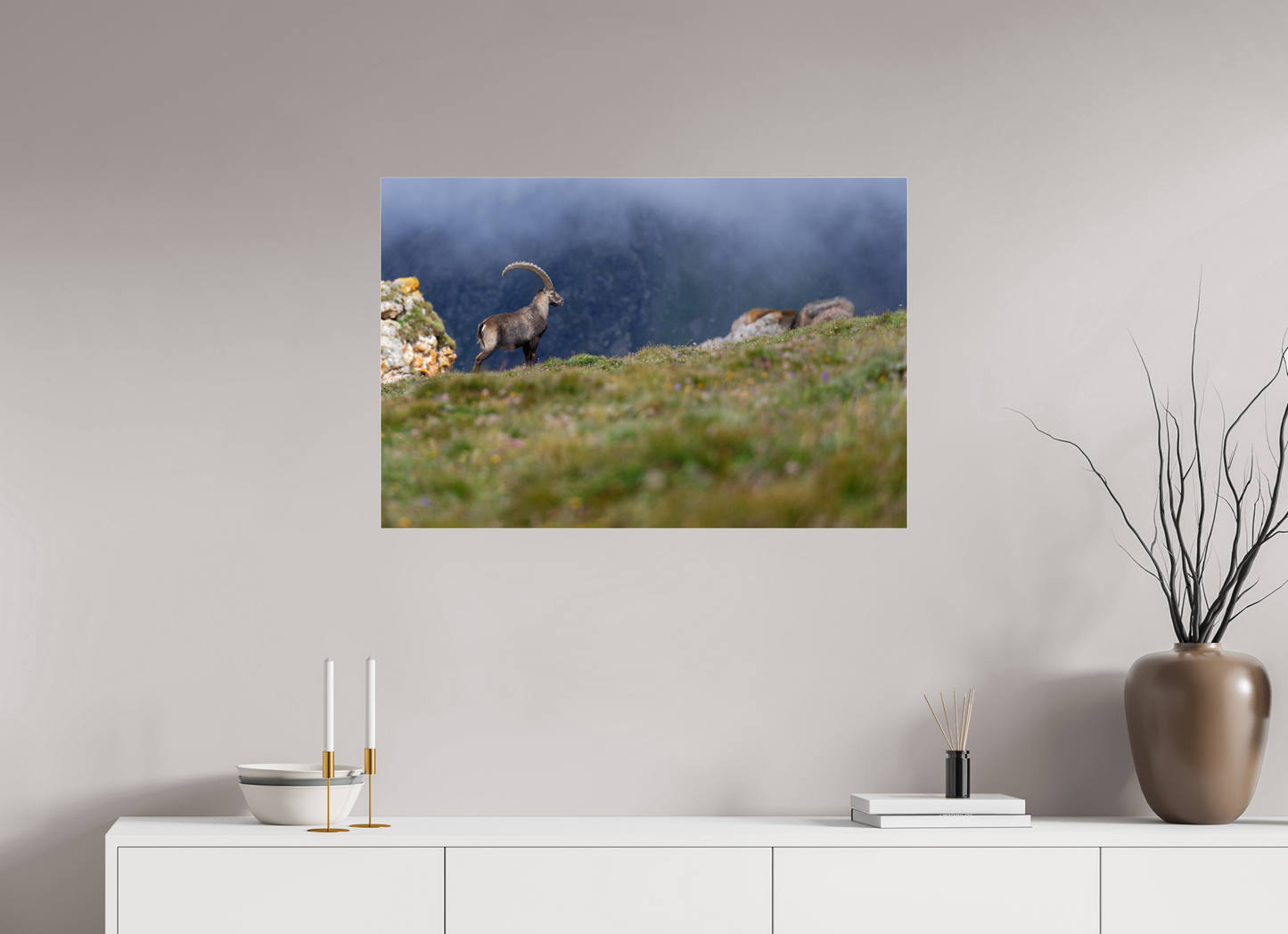 Bouquetin / Ibex