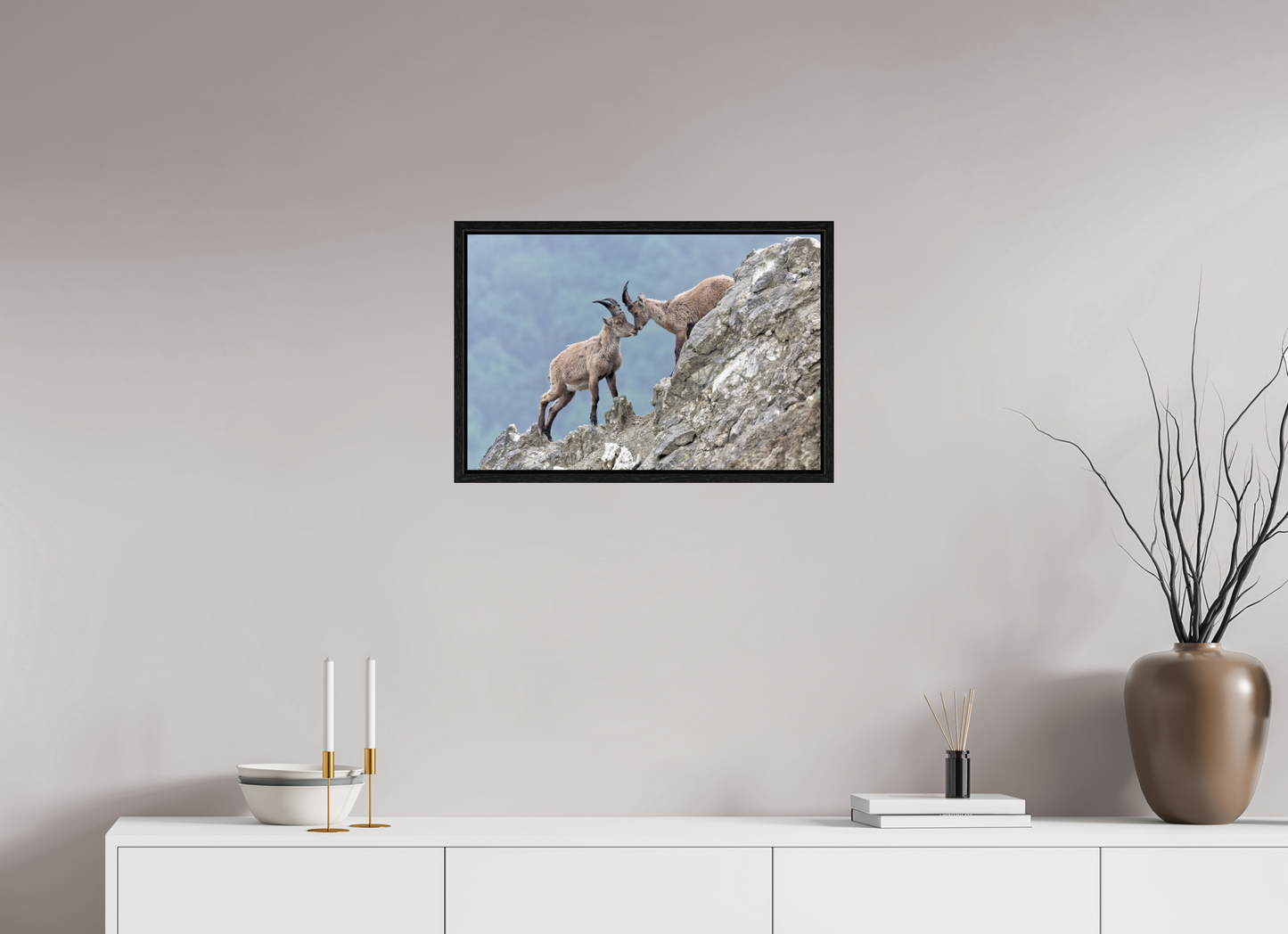 Bouquetin / Ibex