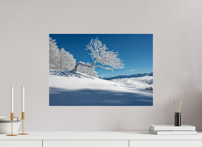 Hiver / Winter