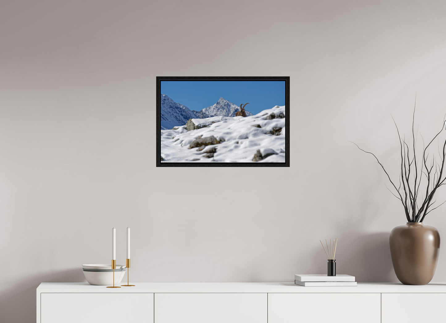 Bouquetin / Ibex