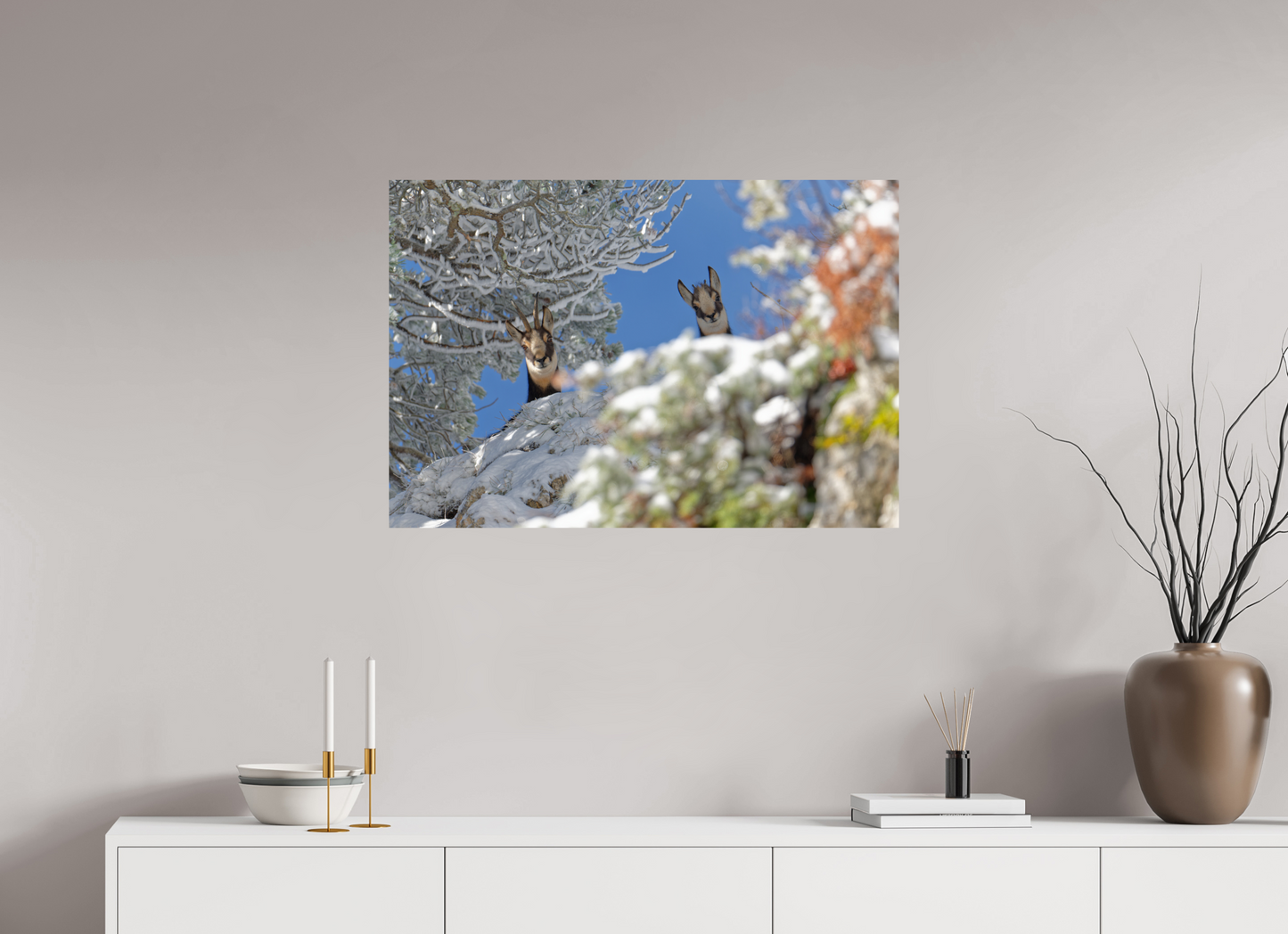 Chamois
