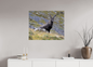 Bouquetin / Ibex