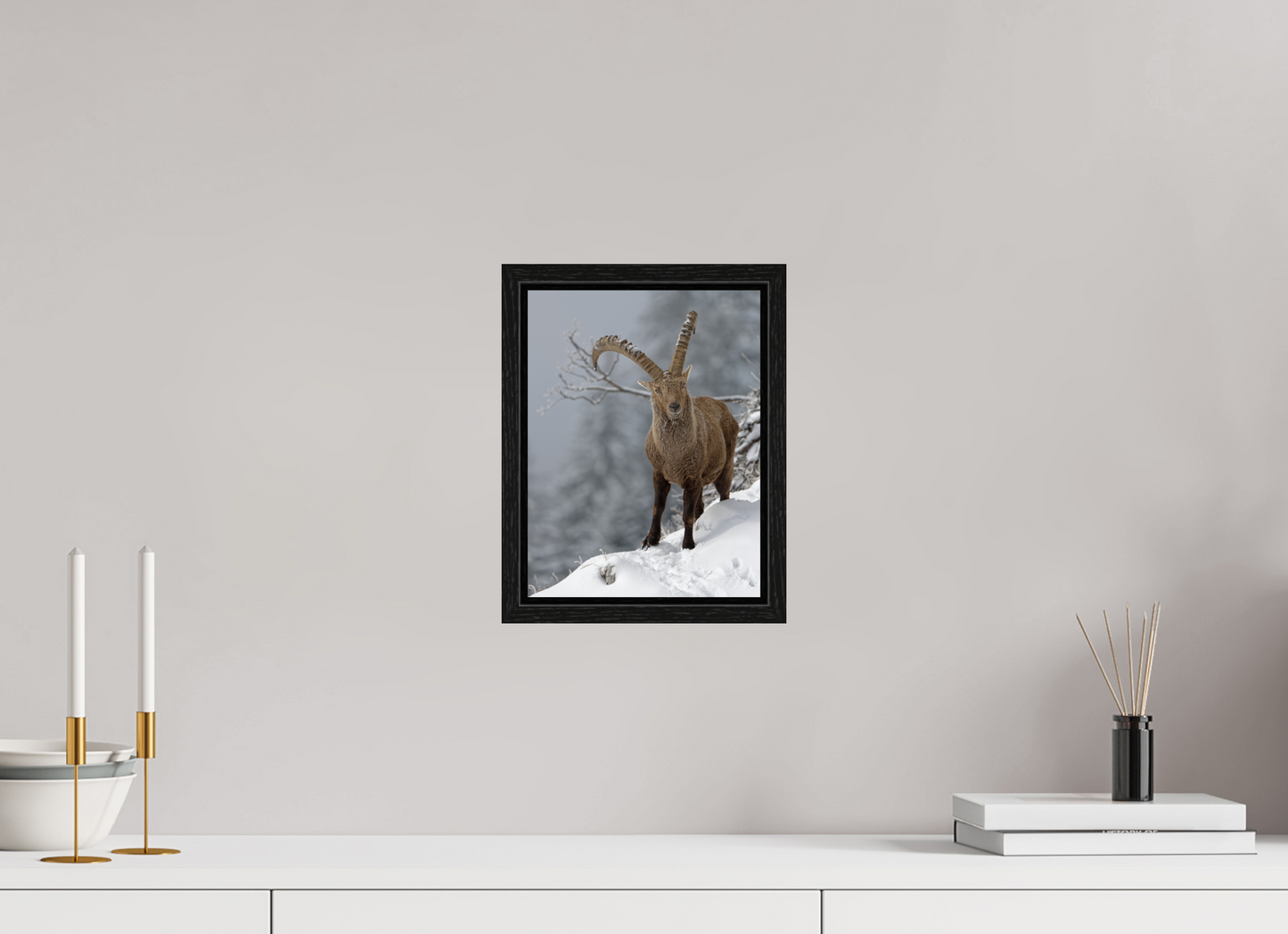 Bouquetin / Ibex