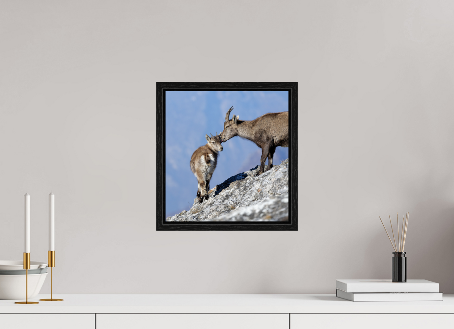 Bouquetin / Ibex