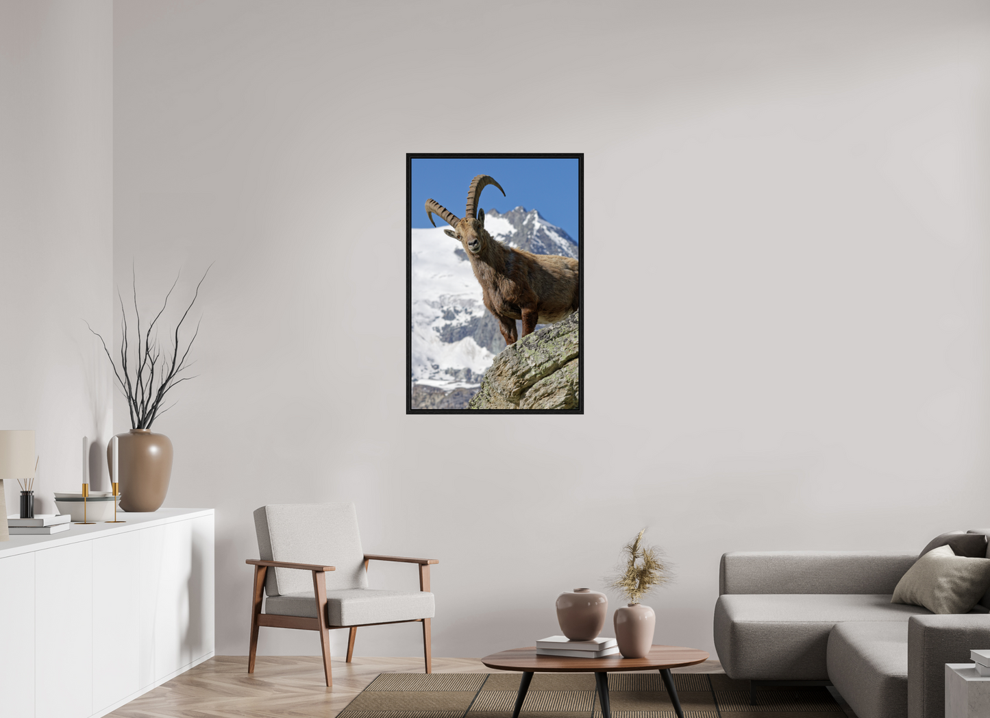 Bouquetin / Ibex