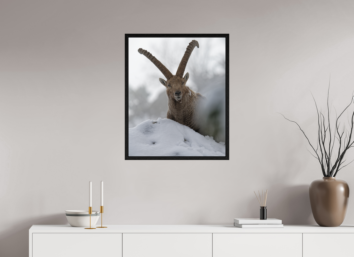Bouquetin / Ibex