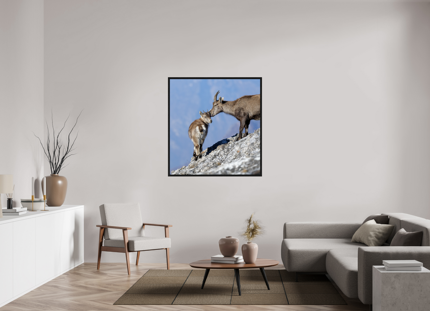 Bouquetin / Ibex