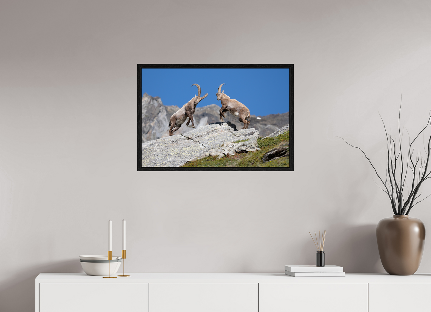 75 x 50 cm, Floater Frame Bouquetin / Ibex