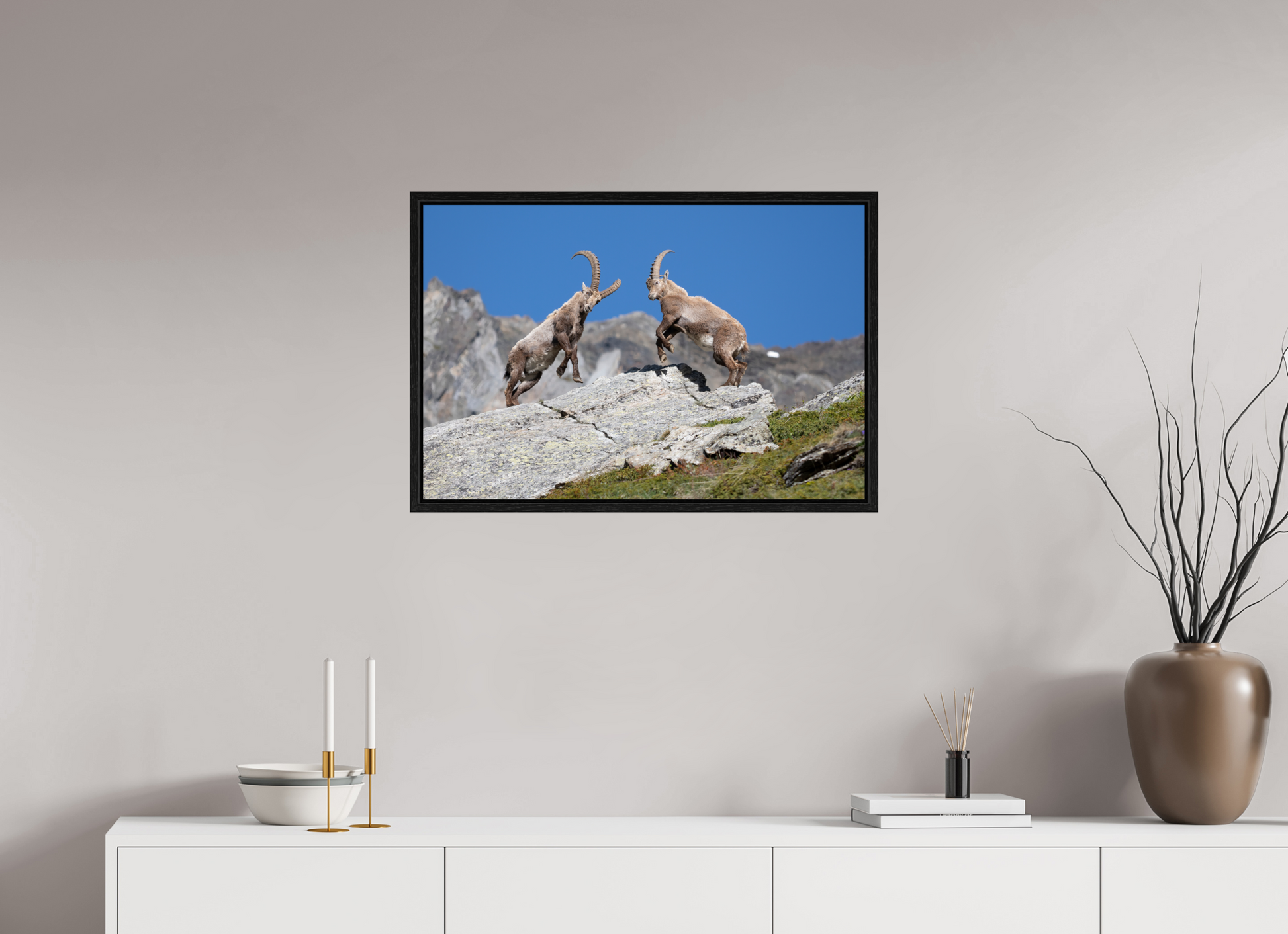 75 x 50 cm, Floater Frame Bouquetin / Ibex