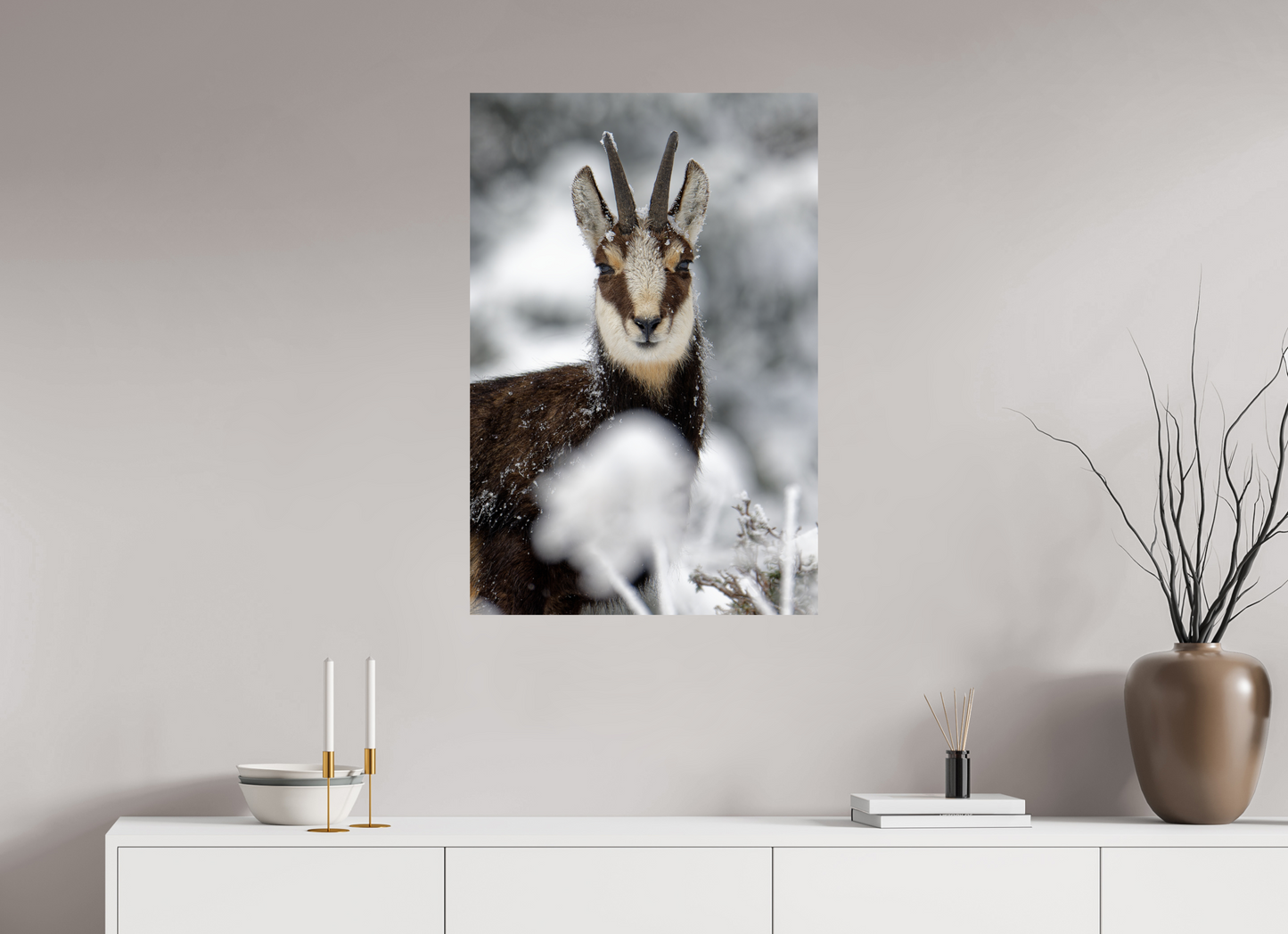 Chamois