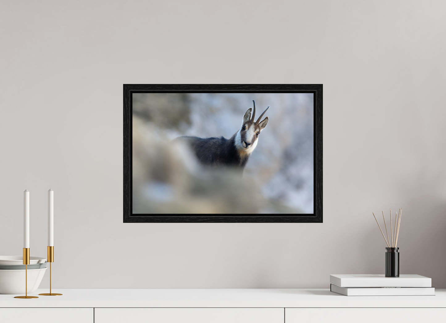 Chamois