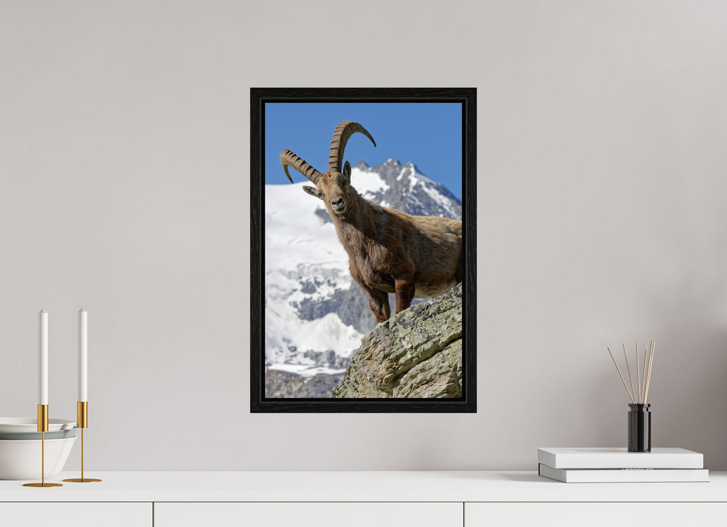 Bouquetin / Ibex