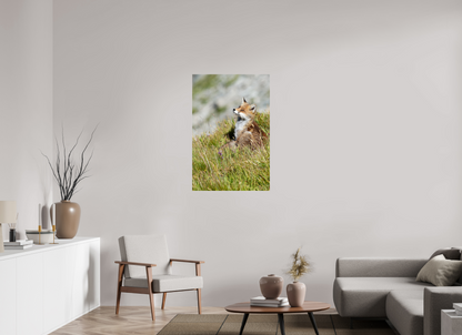 Autres animaux / Other animals