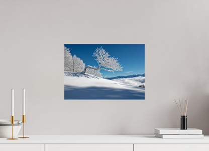Hiver / Winter