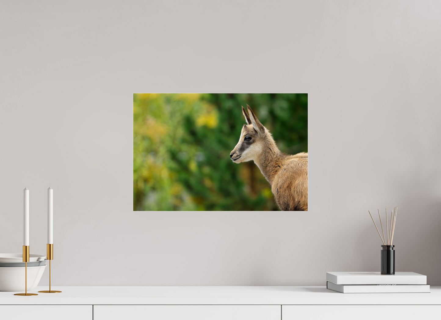 Chamois
