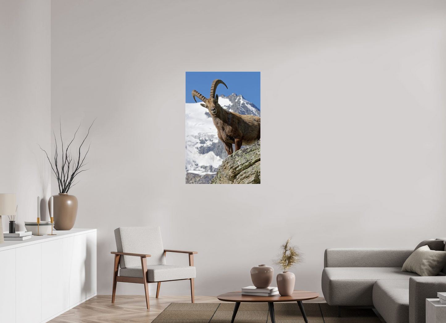 Bouquetin / Ibex