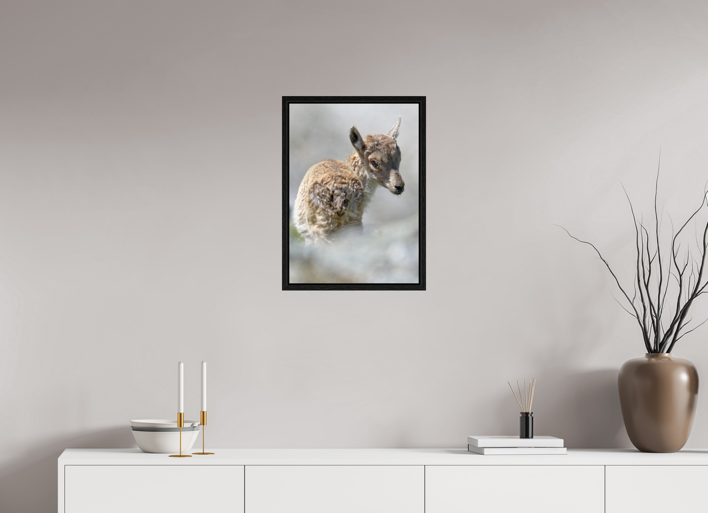 Bouquetin / Ibex