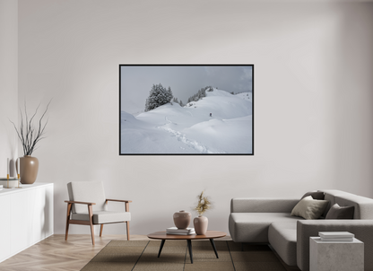 Hiver / Winter