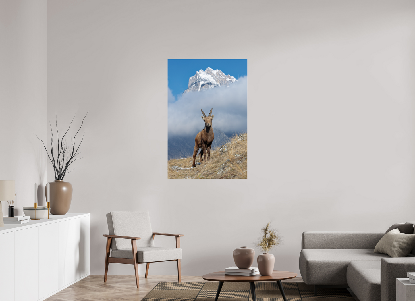 Bouquetin / Ibex