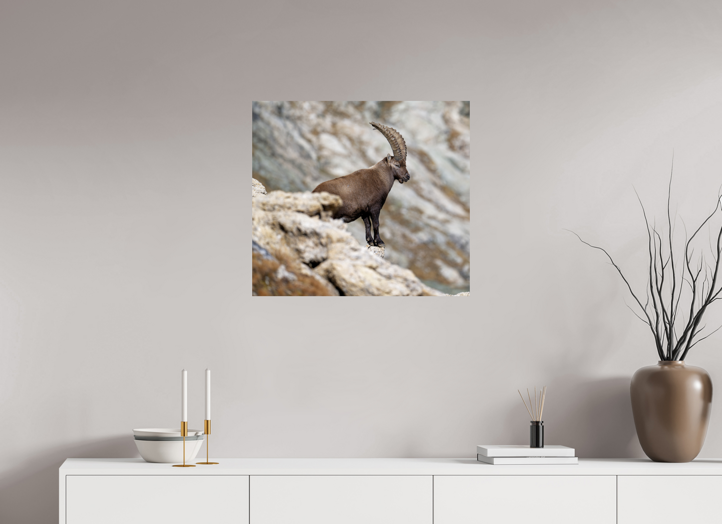 Bouquetin / Ibex