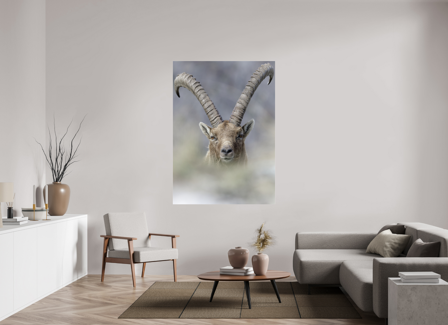 Bouquetin / Ibex