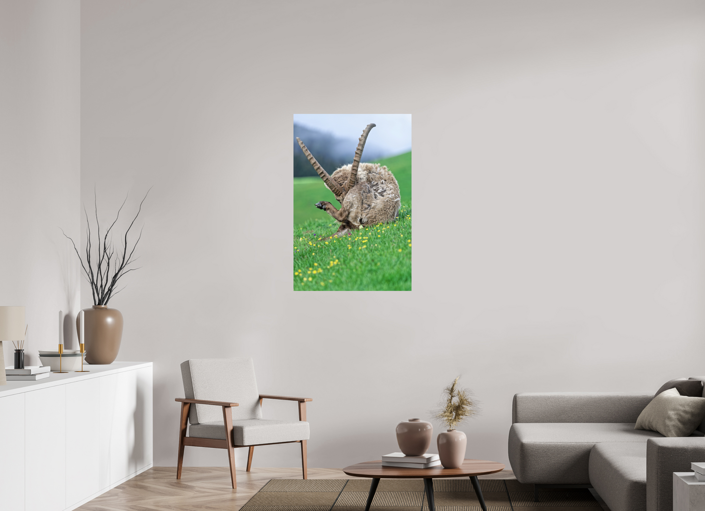 Bouquetin / Ibex