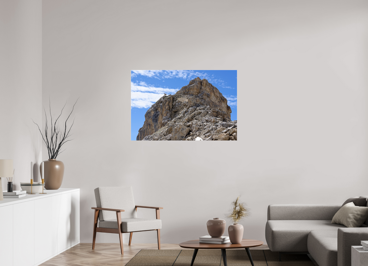 Bouquetin / Ibex