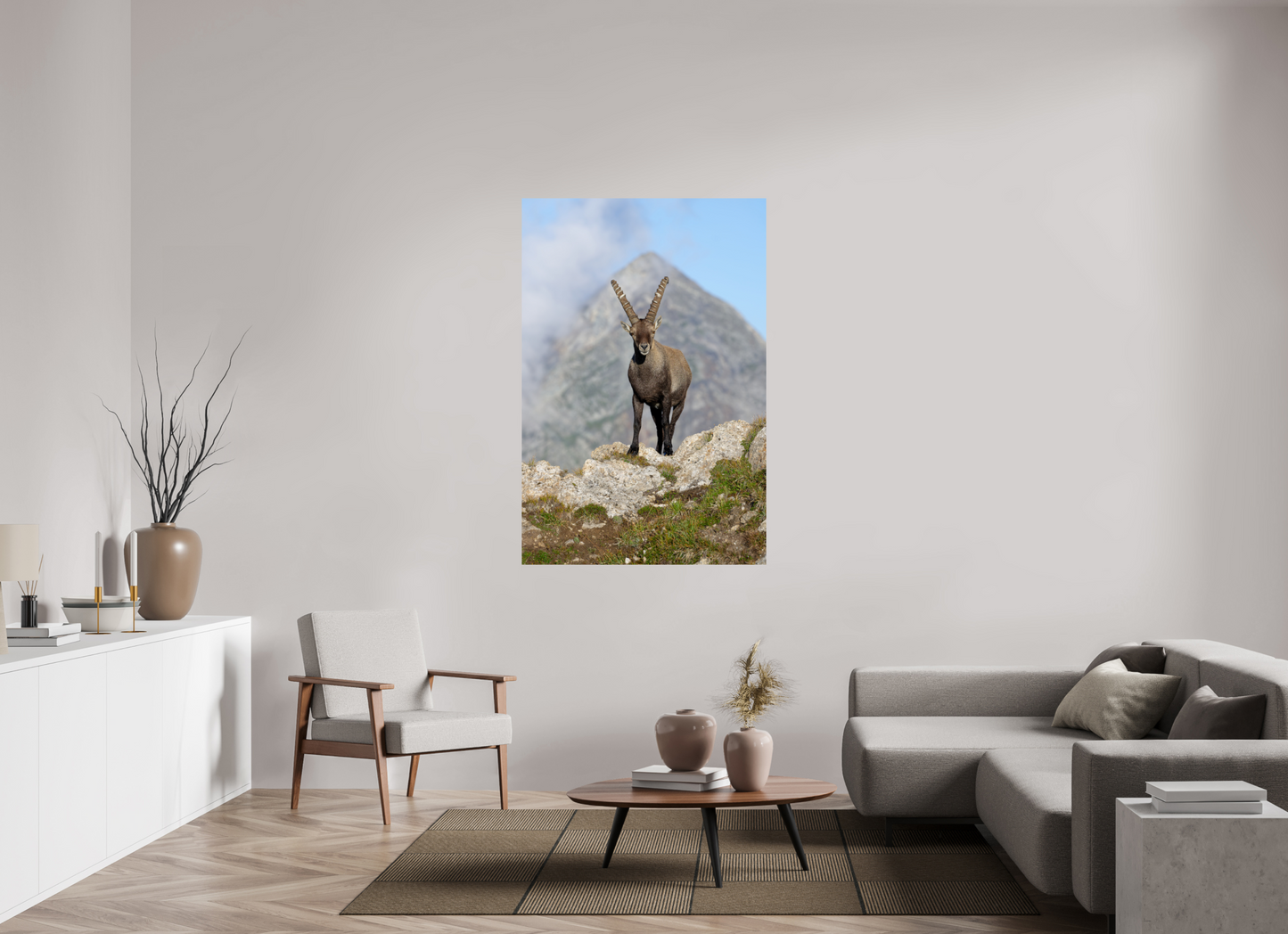 Bouquetin / Ibex