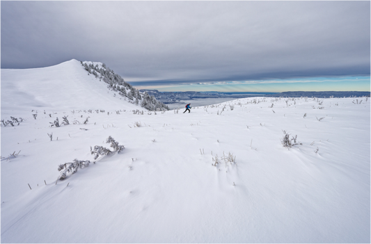 Hiver / Winter