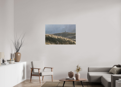 Bouquetin / Ibex