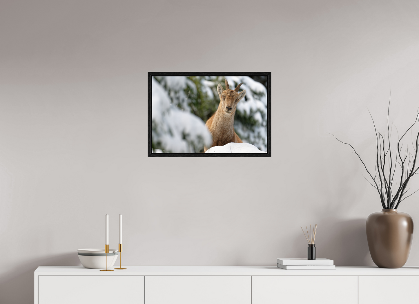 Bouquetin / Ibex